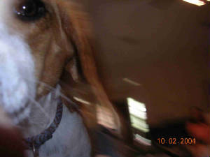 dscn0138_web.jpg