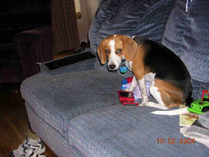 dscn0139_web.jpg